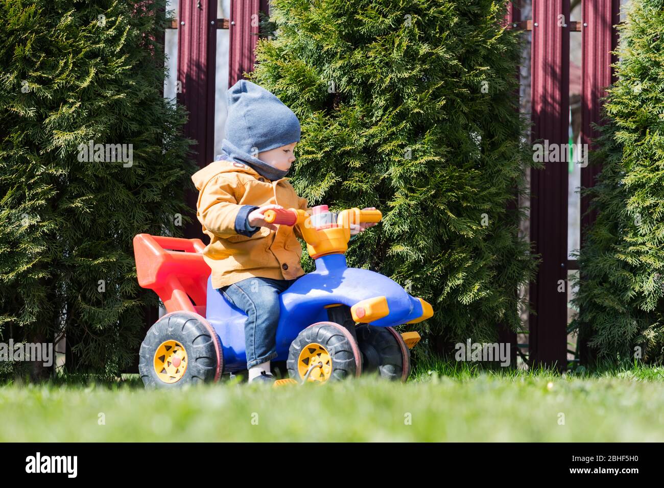 Kleiner Junge auf seinem Fahrrad auf dem grünen Rasen Hinterhof. Happy Kindheitkonzept Stockfoto