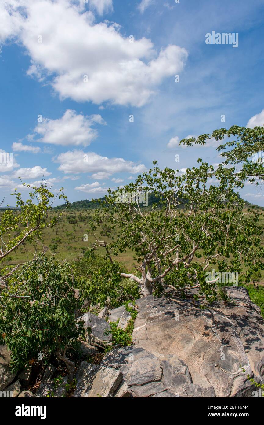 Landscape Shai Game Reserve in der Nähe von Accra, Ghana. Stockfoto