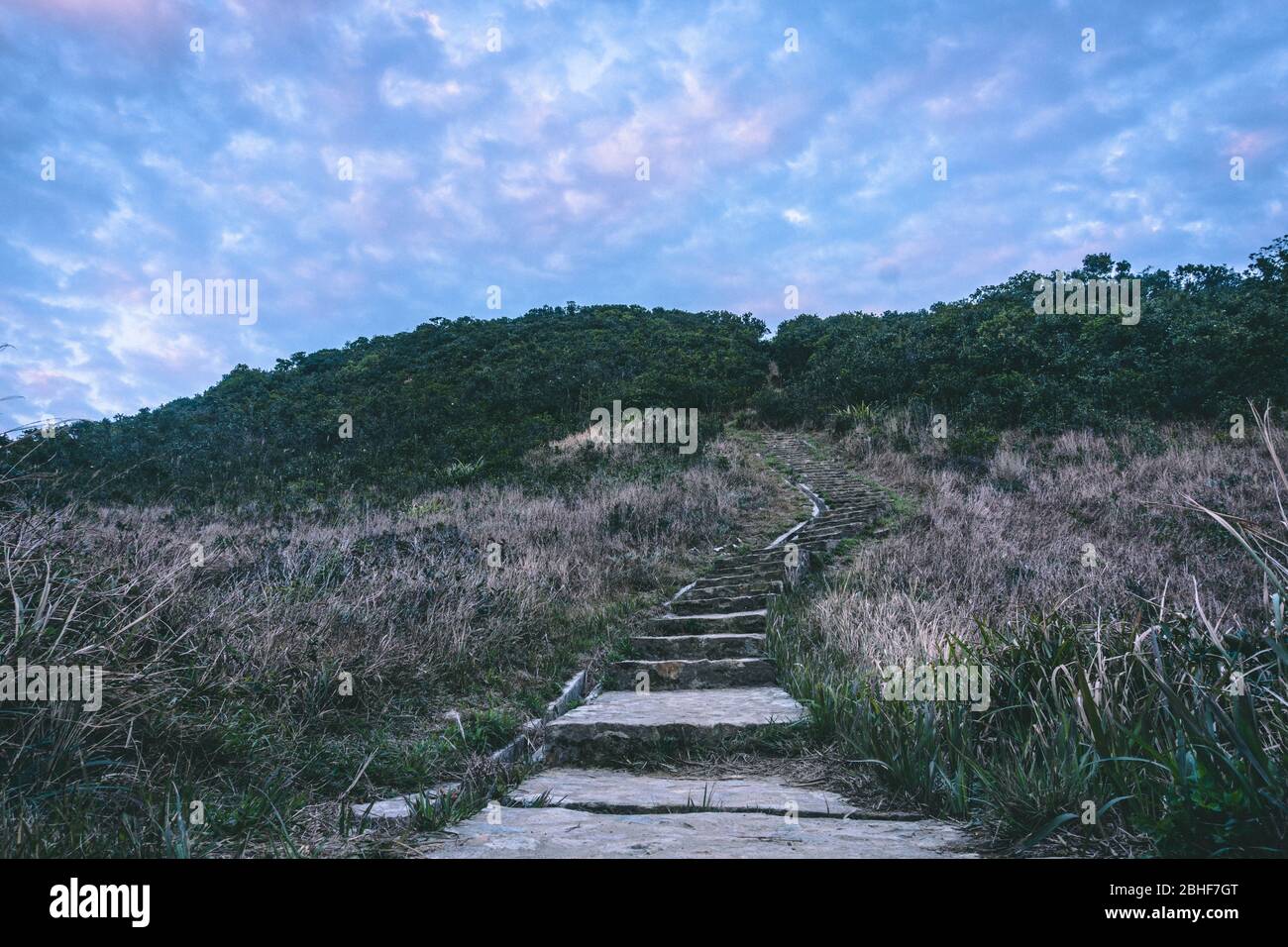 Treppen des Twin Peak Hong Kong. Wanderweg in Hong Kong. Treppensteigen während der blauen Stunde. Herausforderung meistern. Streben Sie nach Erfolg. Stockfoto