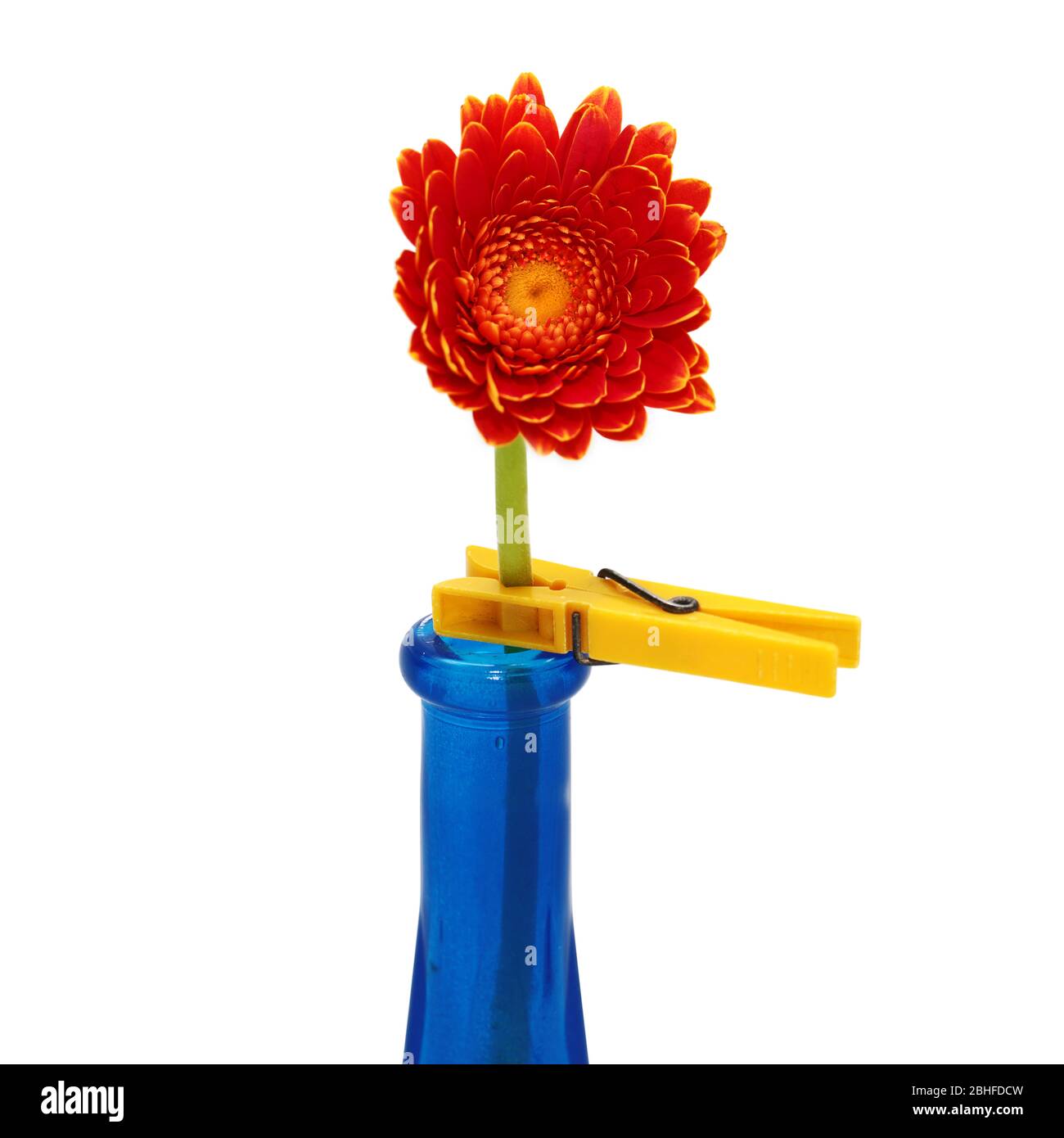 Eine rote Blume in einer blauen Flasche mit einem gelben Kunststoff-Klemme befestigt Stockfoto
