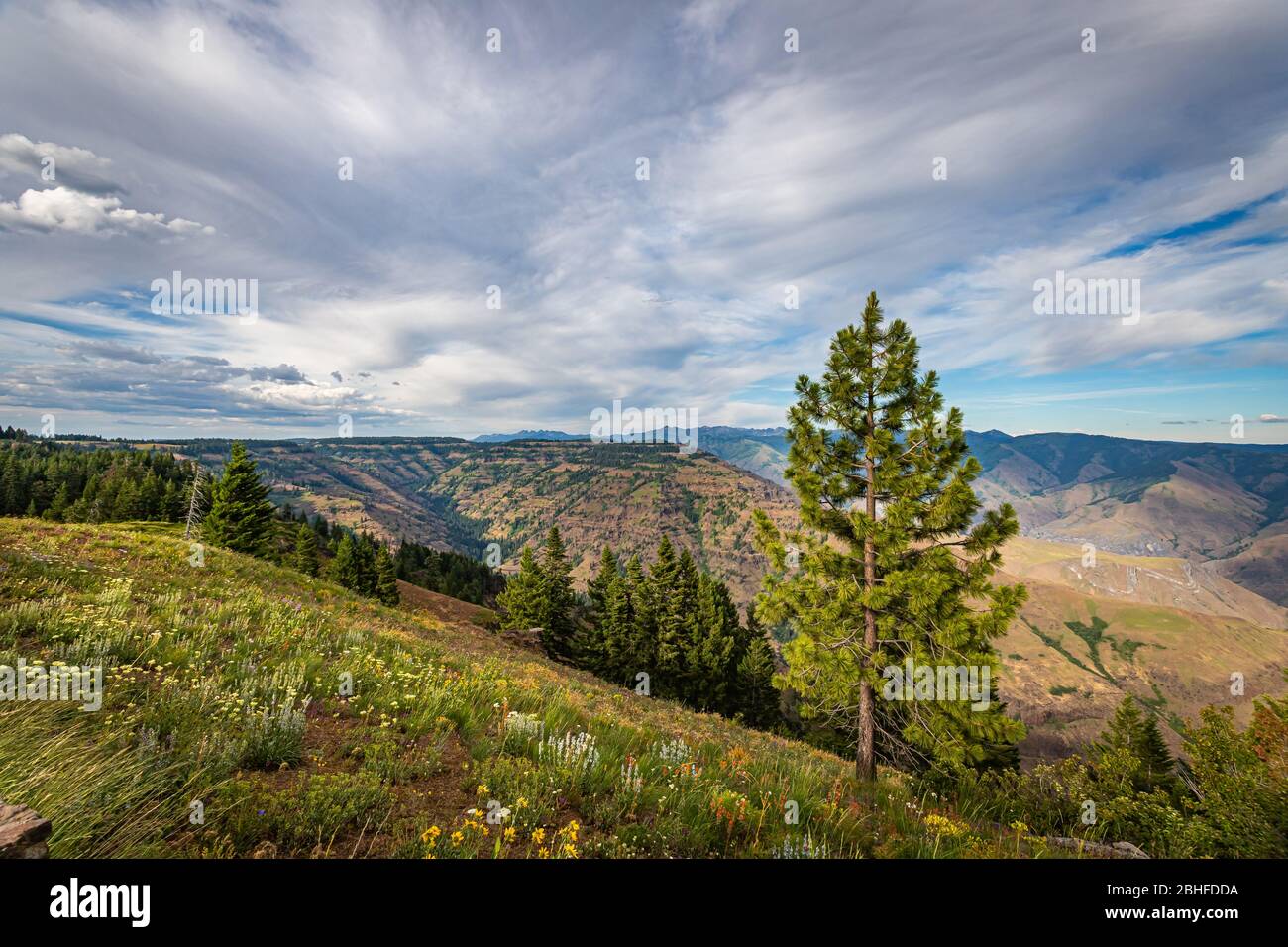 Ein Blick in die Seven Devils Mountains Region von Idaho von über den Snake River im Hell's Canyon in Oregon. Stockfoto