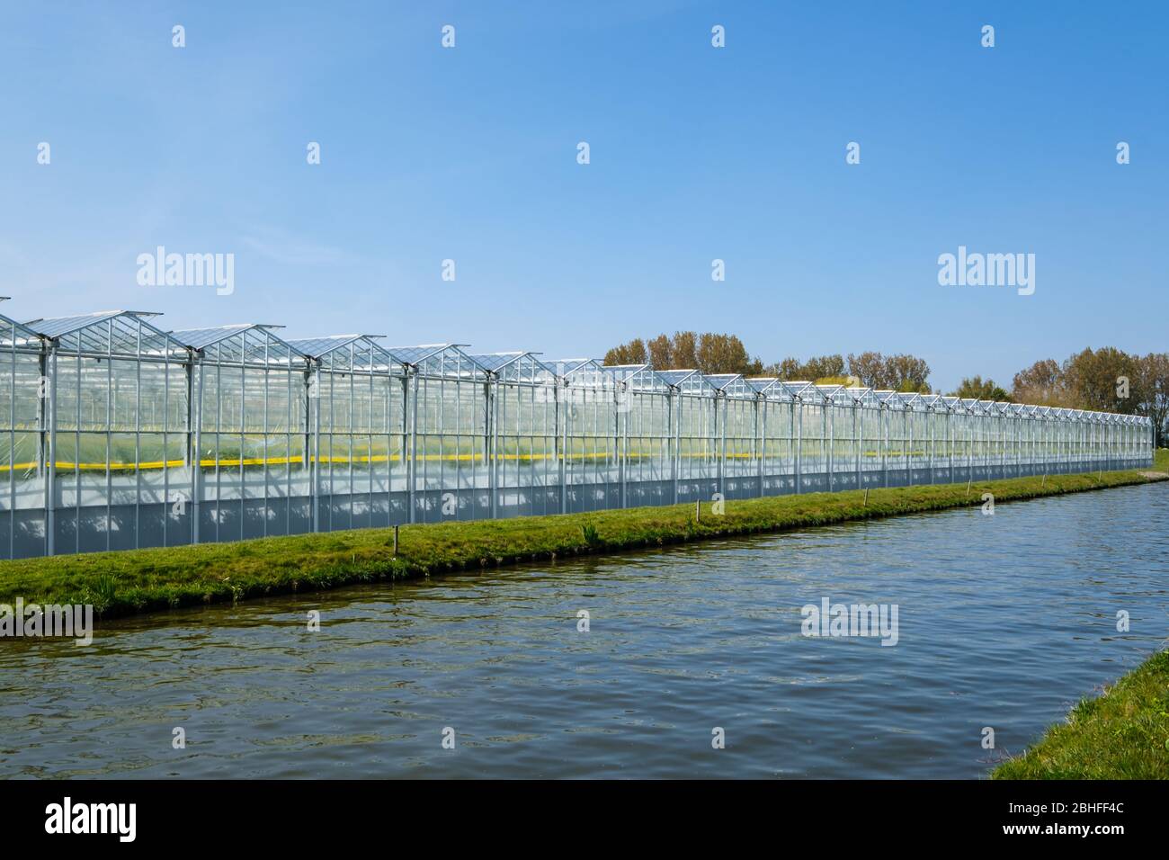Perspektivischer Blick auf ein modernes Industriegewächshaus für Tomaten in den Niederlanden Stockfoto