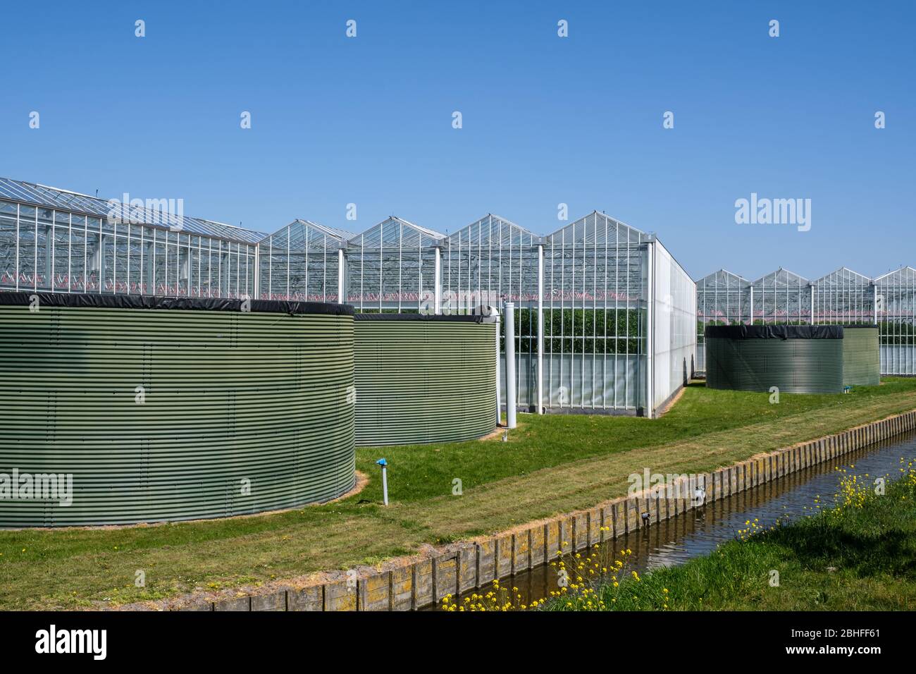 Perspektivischer Blick auf ein modernes Hightech-Industriegewächshaus mit Wassertanks in den Niederlanden Stockfoto