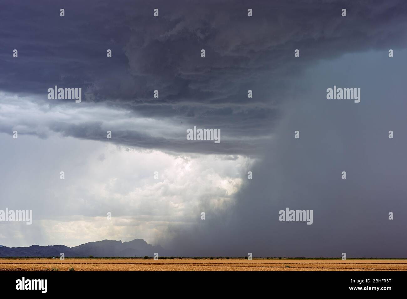 Microburst mit starkem Regen und sintflutartigen Regenfällen während eines Gewitters in Chuichu, Arizona Stockfoto
