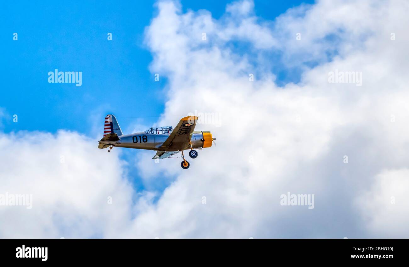 Gedenkflugzeuge der Air Force und Nachstellung des Zweiten Weltkriegs bei der 2019 Wings Over Houston Airshow im Ellington Field in Houston, Texas. Stockfoto