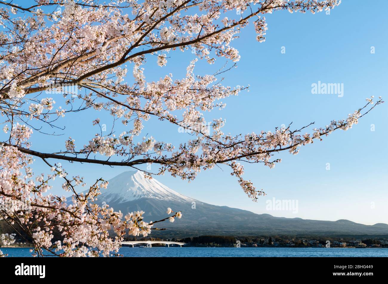 Majestätischer Berg Fuji während der Frühlingssaison als Blick vom See Kawaguchiko. Die Stadt bot eine der besten Aussichten für Fujisan oder Mount. Fuji. Stockfoto