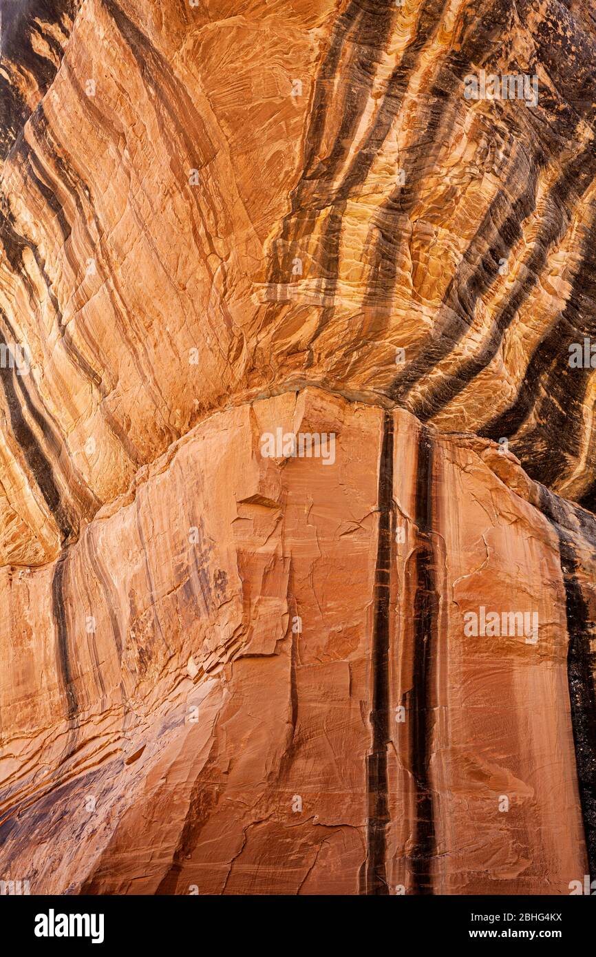 UT00553-00...UTAH - Blick hoch zum Bogen der Sipapu Bridge im Natural Bridges National Monument. Stockfoto