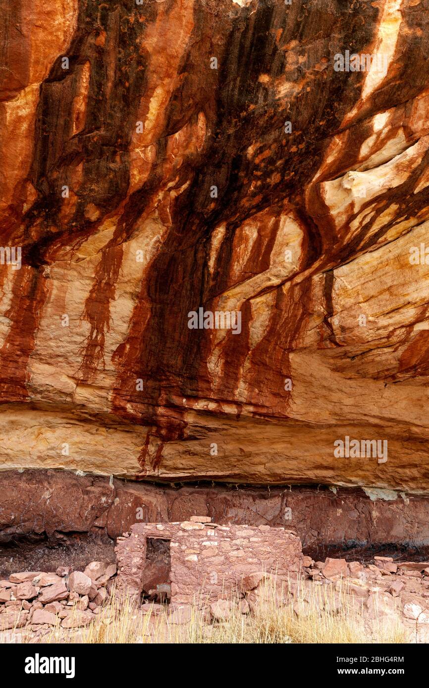 UT00557-00...UTAH - Ancestral Puebloan Klippenwohnung in Horsecollar Ruine in Natural Bridges National Monument. Stockfoto