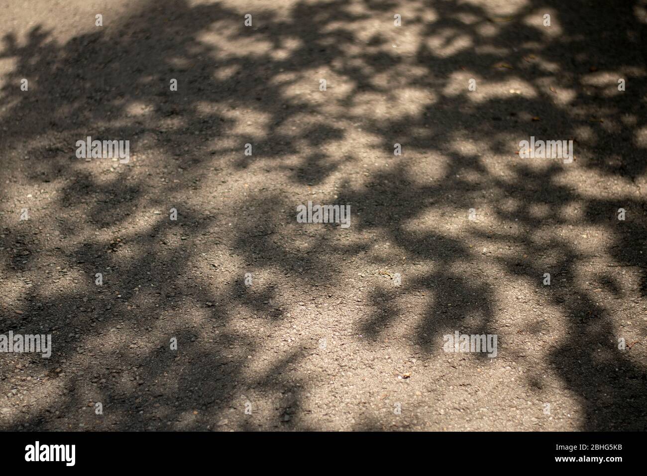 Es gibt viele interessante Szenen in diesem Viertel von San Rafael, CA. Stockfoto