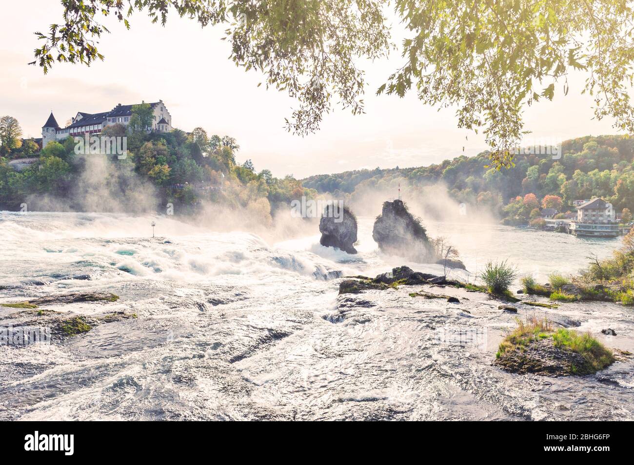 Mächtige weiße Stromschnellen des Rheins am Rheinfall, dem berühmten und größten Wasserfall Europas in Schaffhausen, Schweiz Stockfoto