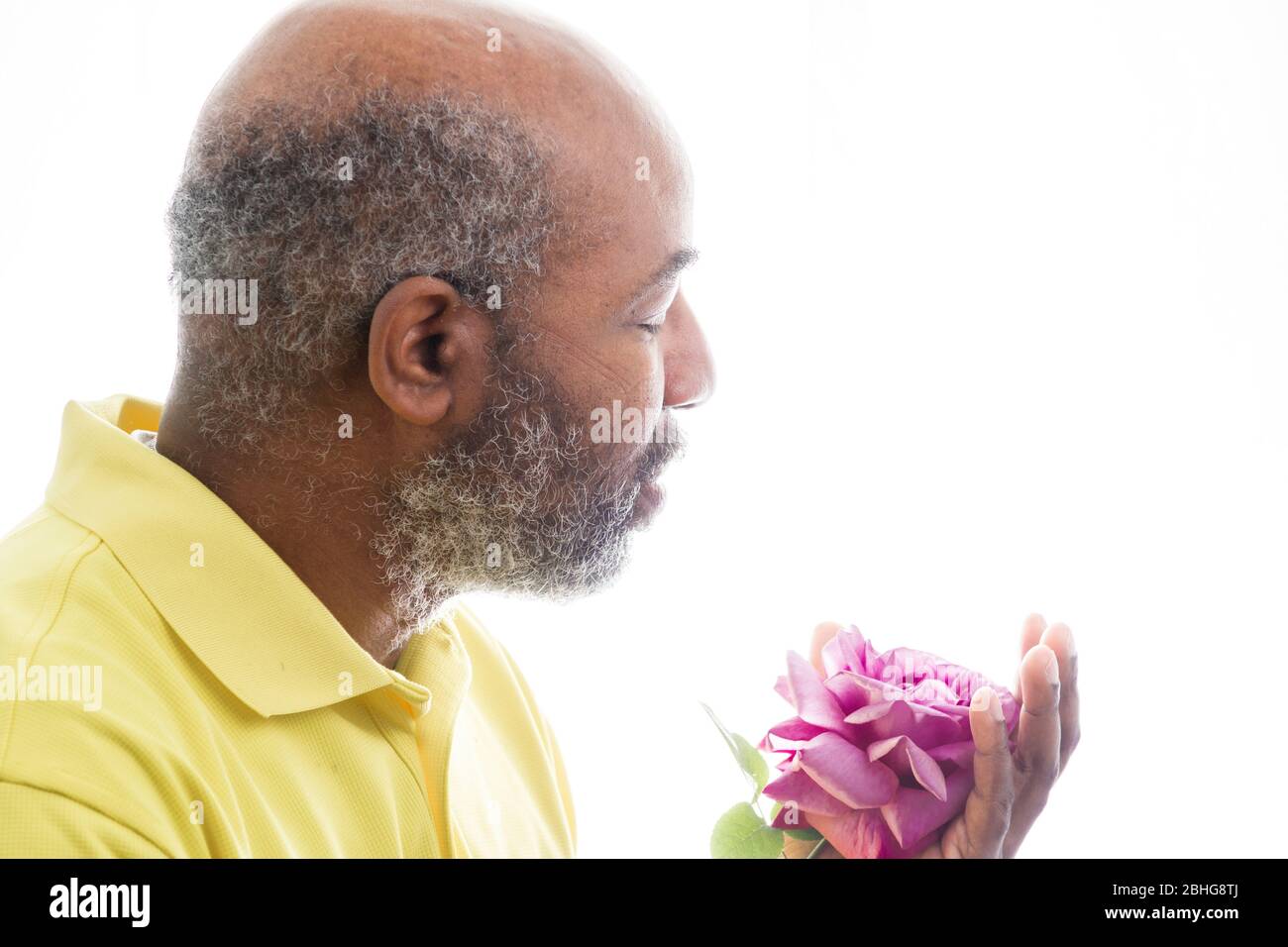 Afroamerikanischer Mann mit einer lila Rose auf weißem Hintergrund. Romantisches Konzept der Liebe, valentinstag oder Muttertag Stockfoto