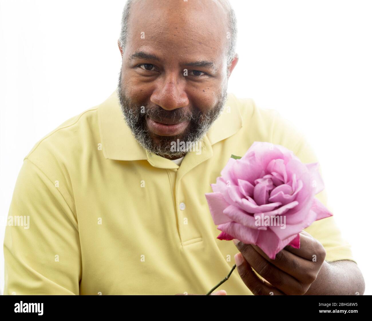 Afroamerikanischer Mann mit einer lila Rose auf weißem Hintergrund. Romantisches Konzept der Liebe, valentinstag oder Muttertag Stockfoto
