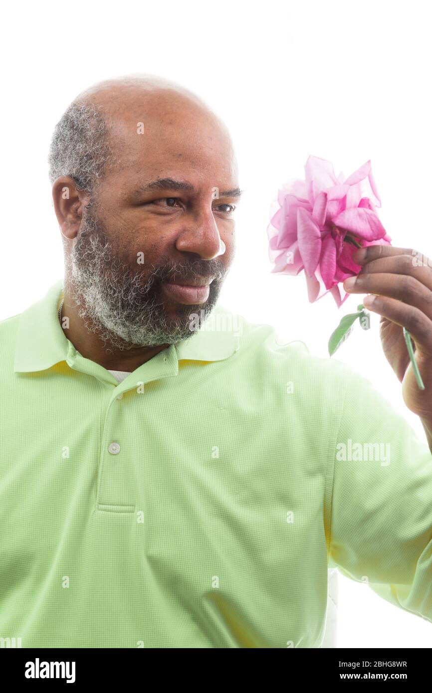 Afroamerikanischer Mann mit einer lila Rose auf weißem Hintergrund. Romantisches Konzept der Liebe, valentinstag oder Muttertag Stockfoto