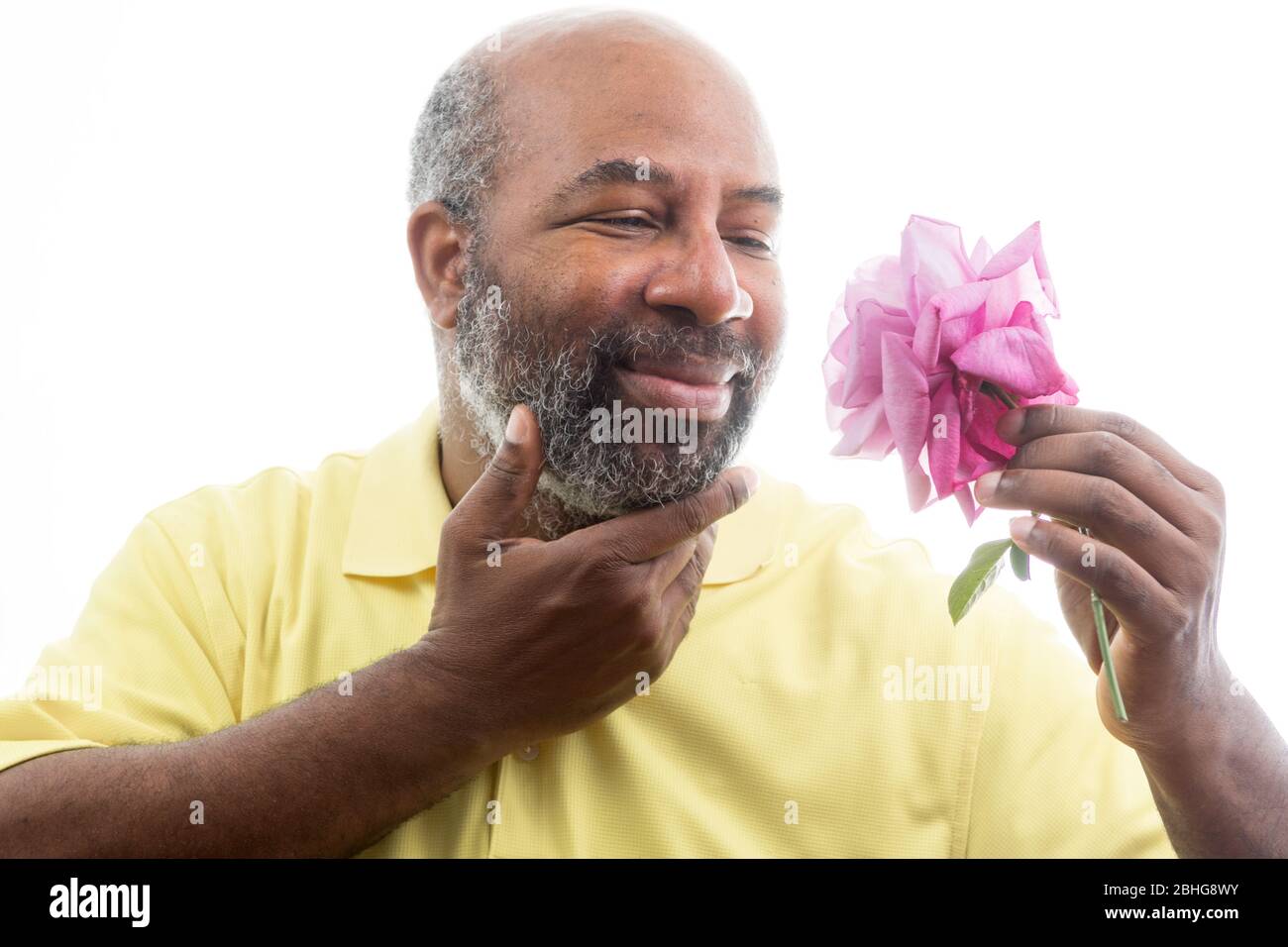 Afroamerikanischer Mann mit einer lila Rose auf weißem Hintergrund. Romantisches Konzept der Liebe, valentinstag oder Muttertag Stockfoto