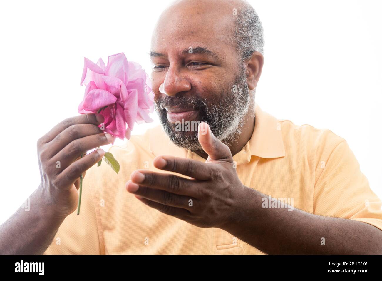Afroamerikanischer Mann mit einer lila Rose auf weißem Hintergrund. Romantisches Konzept der Liebe, valentinstag oder Muttertag Stockfoto