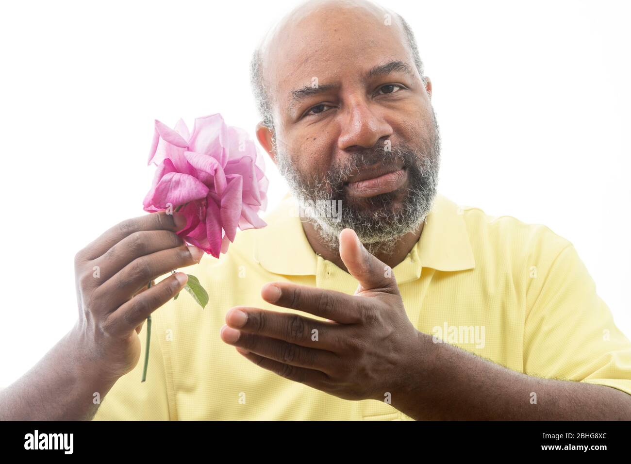 Afroamerikanischer Mann mit einer lila Rose auf weißem Hintergrund. Romantisches Konzept der Liebe, valentinstag oder Muttertag Stockfoto