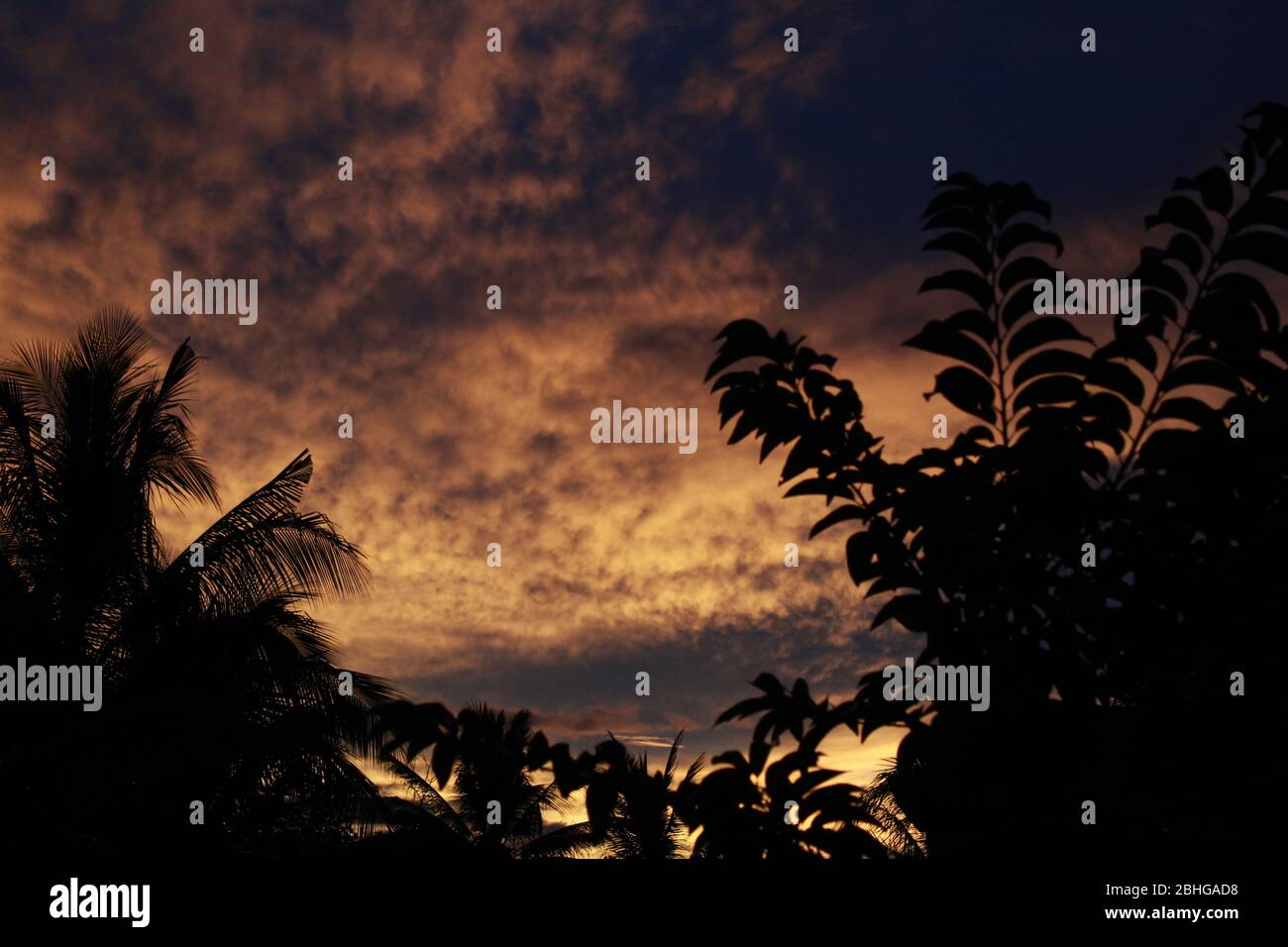 Old Dawn Stockfoto