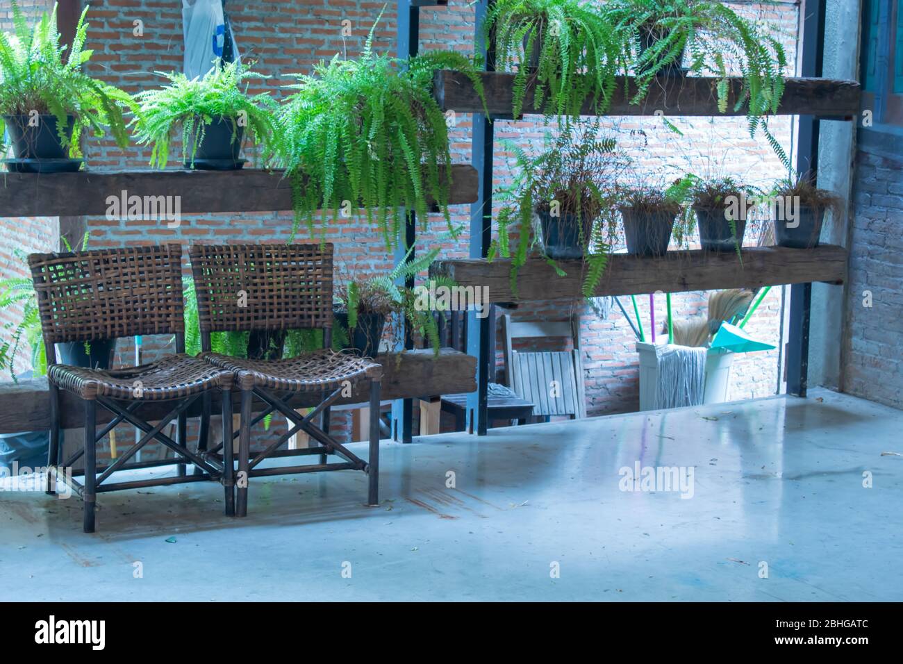 Alte hölzerne Stühle in den Gängen Stockfoto