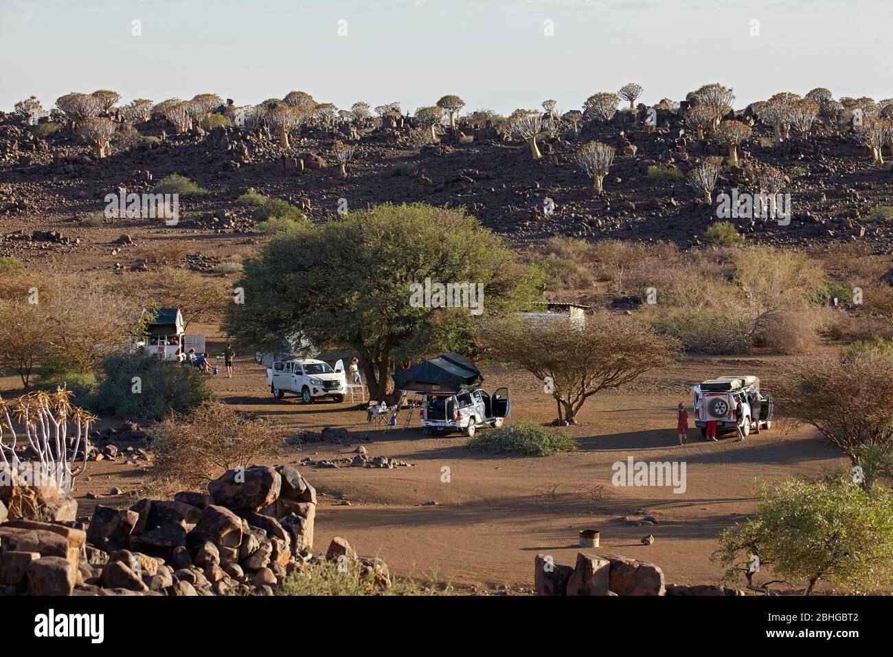 Mesosaurus Fossil Camp und Kocurboom oder Köcher Tree Forest (Aloe dichotomum), in der Nähe von Keetmanshoop, Namibia, Afrika Stockfoto