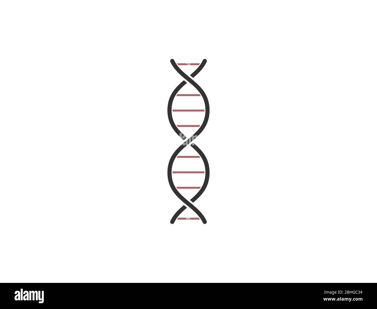 Chromosom, dna, genetisches Symbol. Vektorgrafik, flaches Design. Stock Vektor