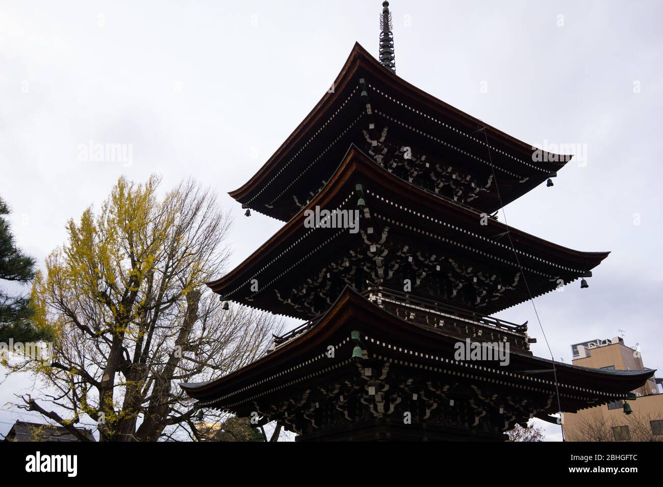 Hida Kokubunji Tempel wurde 746, mehr als 1200 Jahre, gebaut, wie der riesige Ginko-Baum dahinter. Das Gebäude ist das älteste Gebäude. Stockfoto