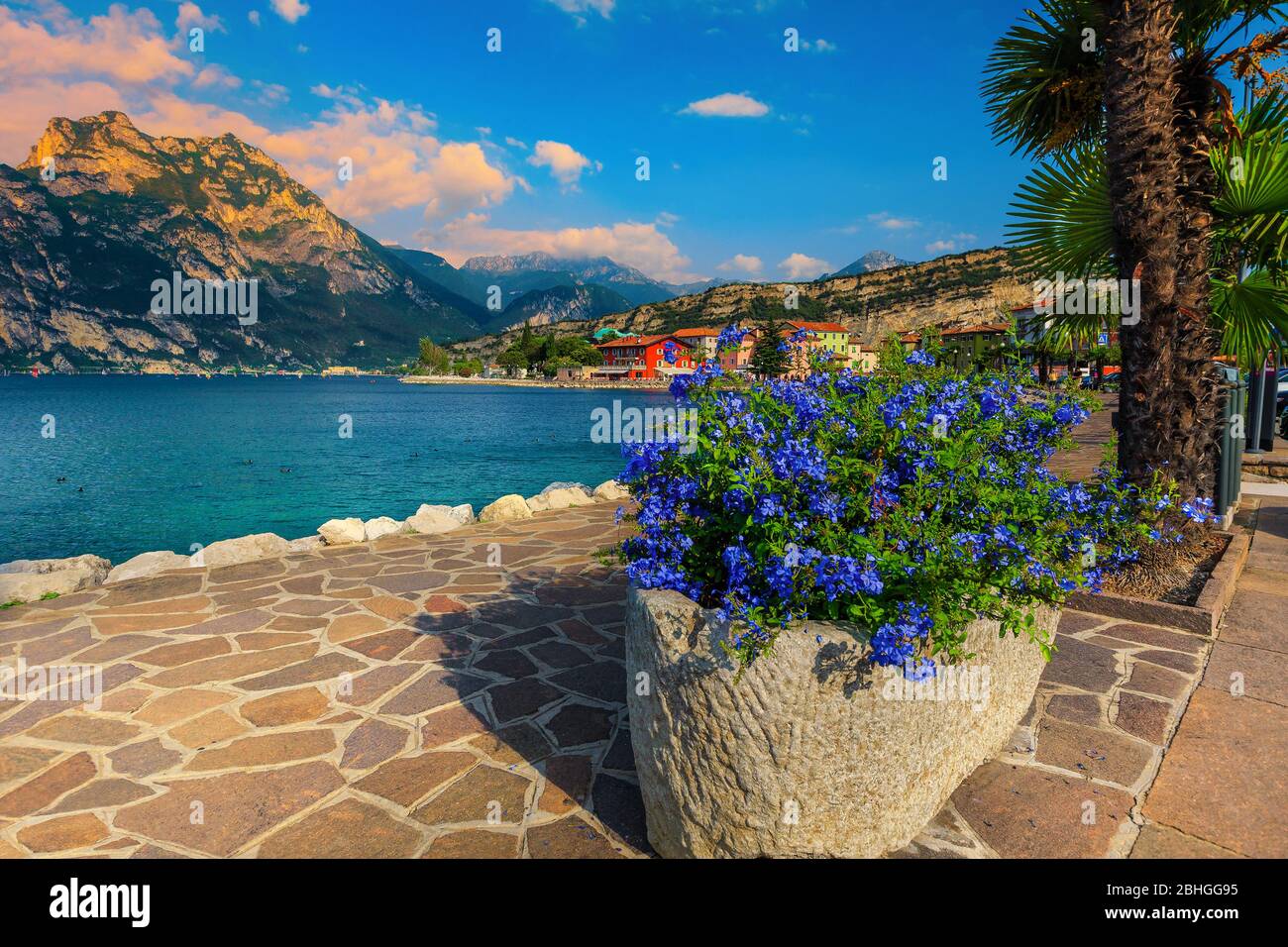 Atemberaubende gepflasterte und blumige Uferpromenade mit Palmen in Torbole Resort, Gardasee, Italien, Europa Stockfoto
