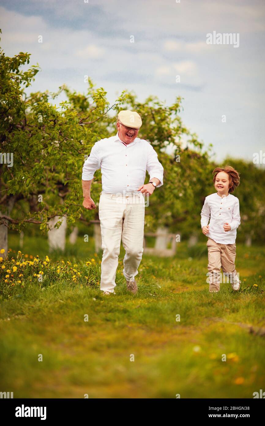 Glücklich aufgeregt Opa und Enkel laufen im Frühlingsgarten Stockfoto