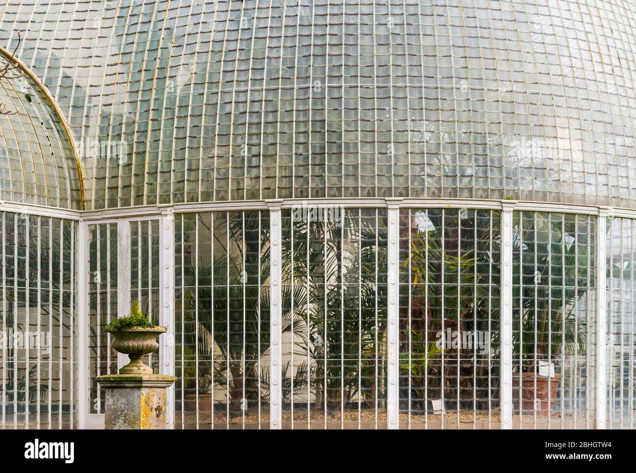 Das Palm House (1820er Jahre) hat ein kurvenliniäres Design mit 18,000 Glasscheiben in dünnen Eisenverglasung Bars. Botanischer Garten Bicton Park, Devon, England, Großbritannien. Stockfoto