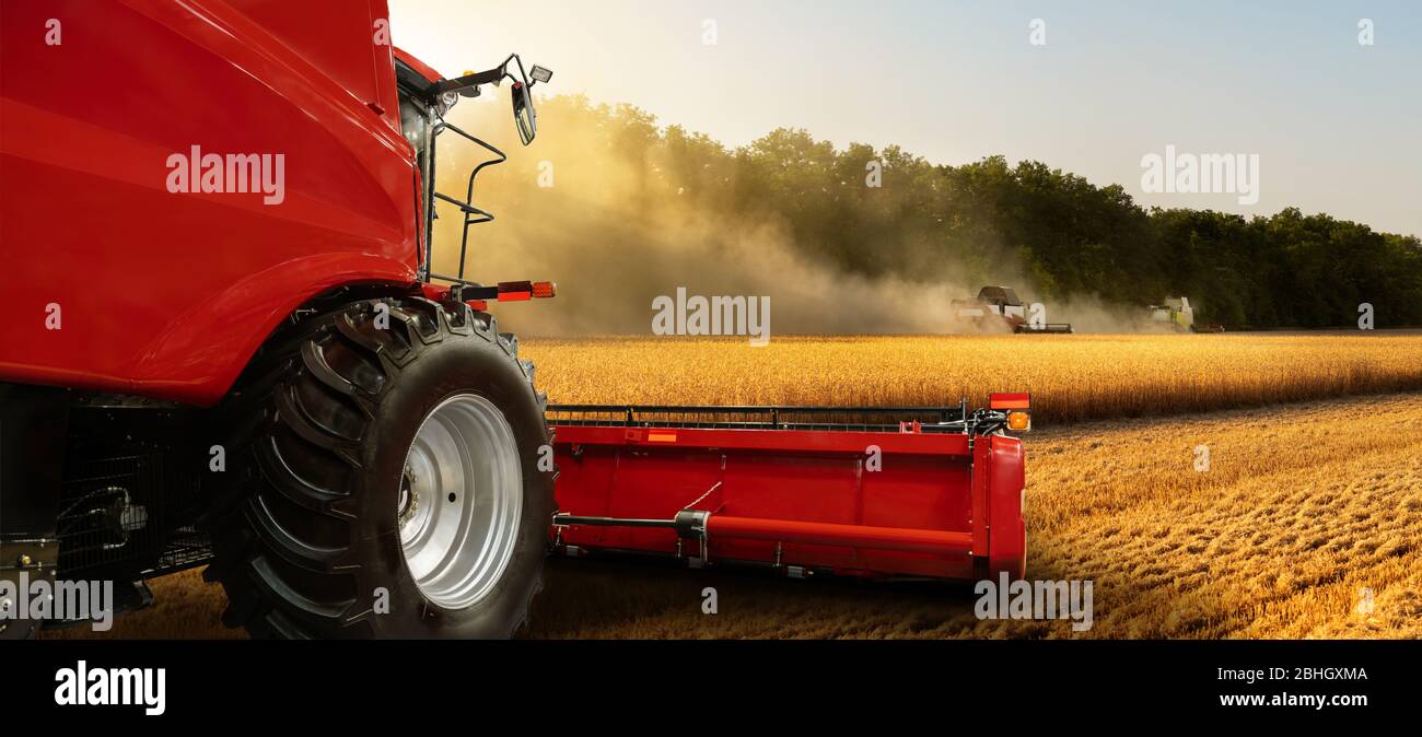 Mähdrescher auf dem Weizenfeld Stockfoto