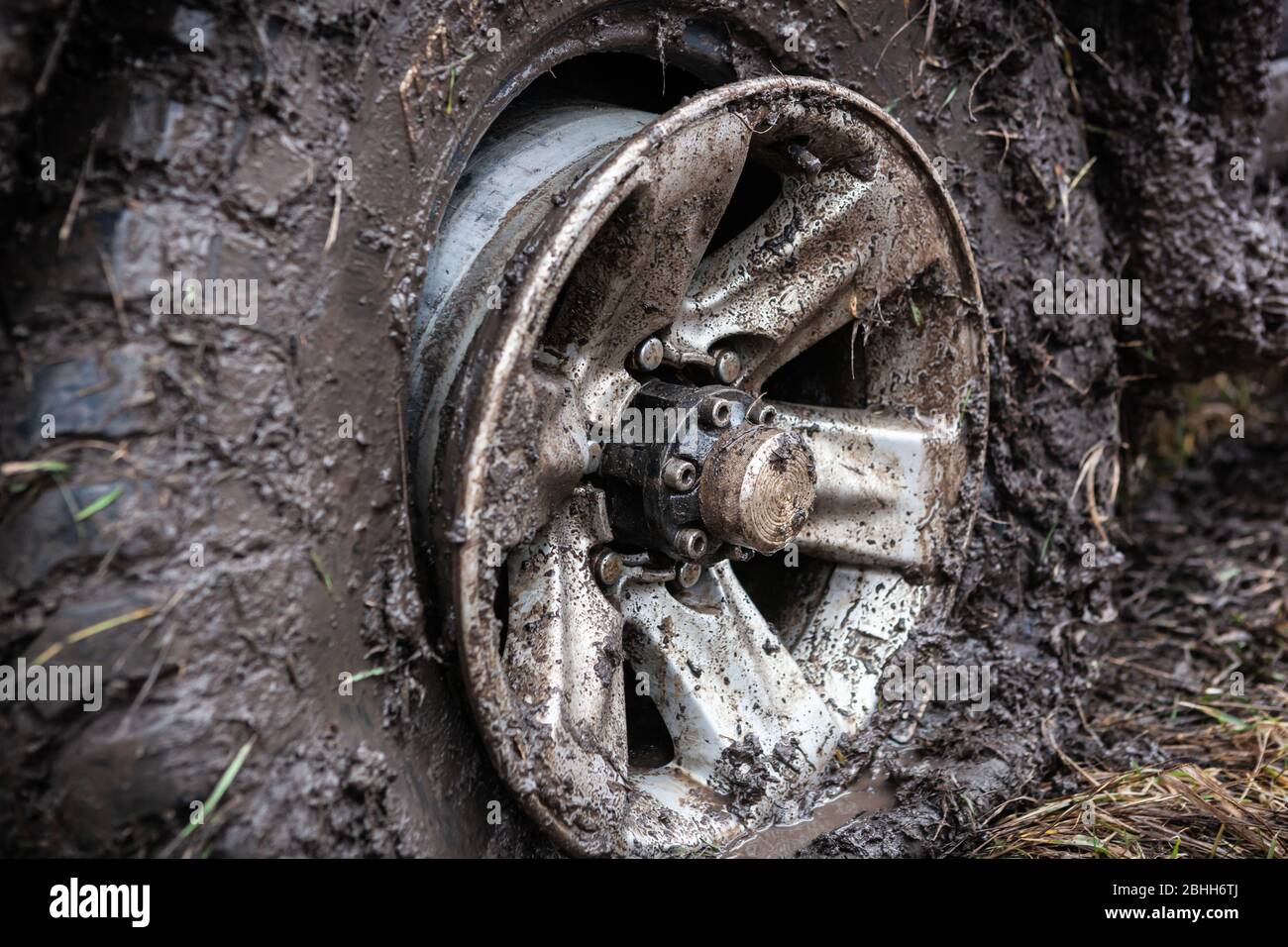 Offroad-Reifen und Felgen in Schlamm Nahaufnahme. Stockfoto