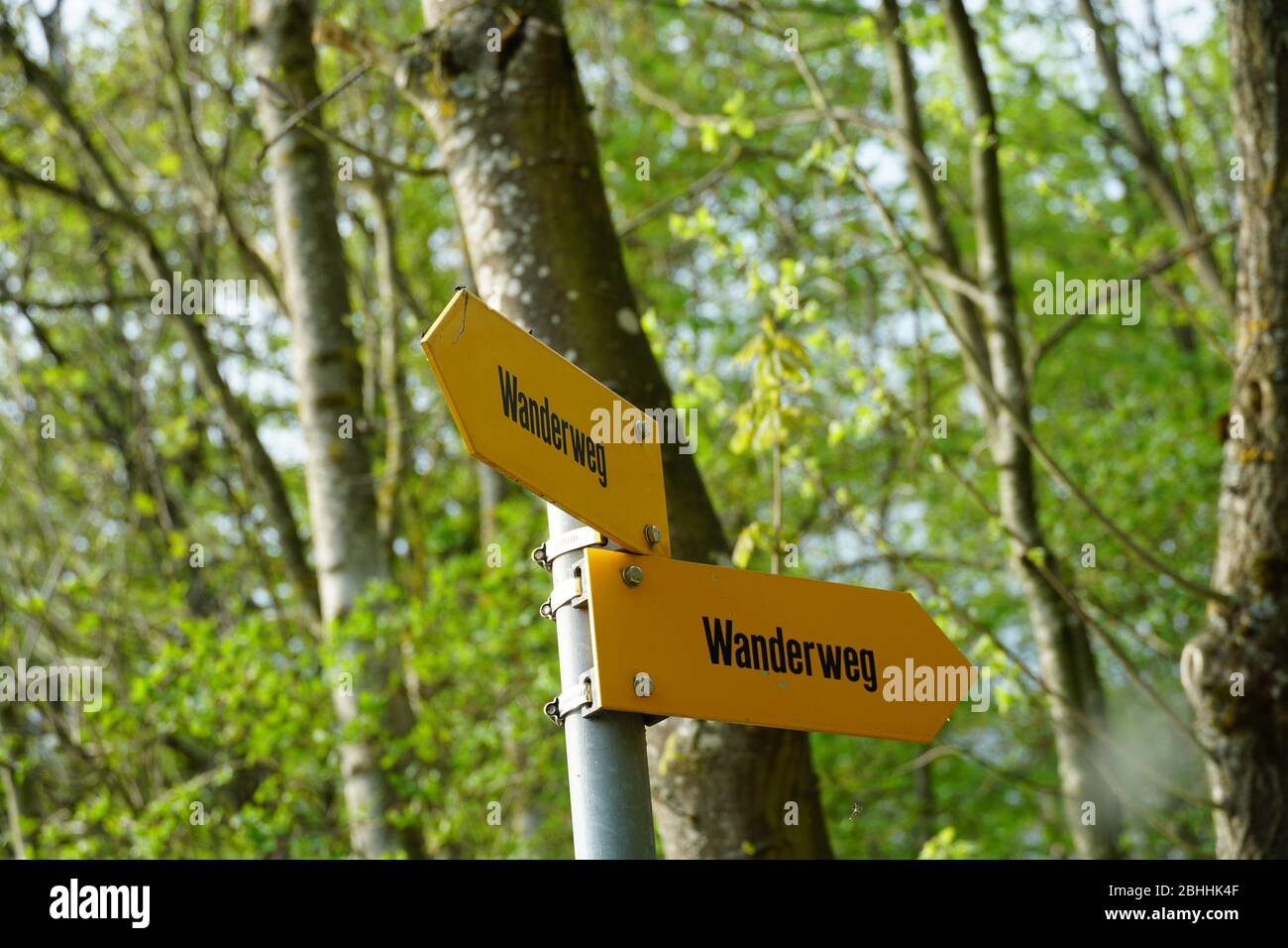 Auf einem Metallmast angebrachte Wegweiser für Wanderwege in deutscher Sprache, die in zwei entgegengesetzten Richtungen in einem Wald auf dem Hintergrund von Bäumen zeigen. Stockfoto