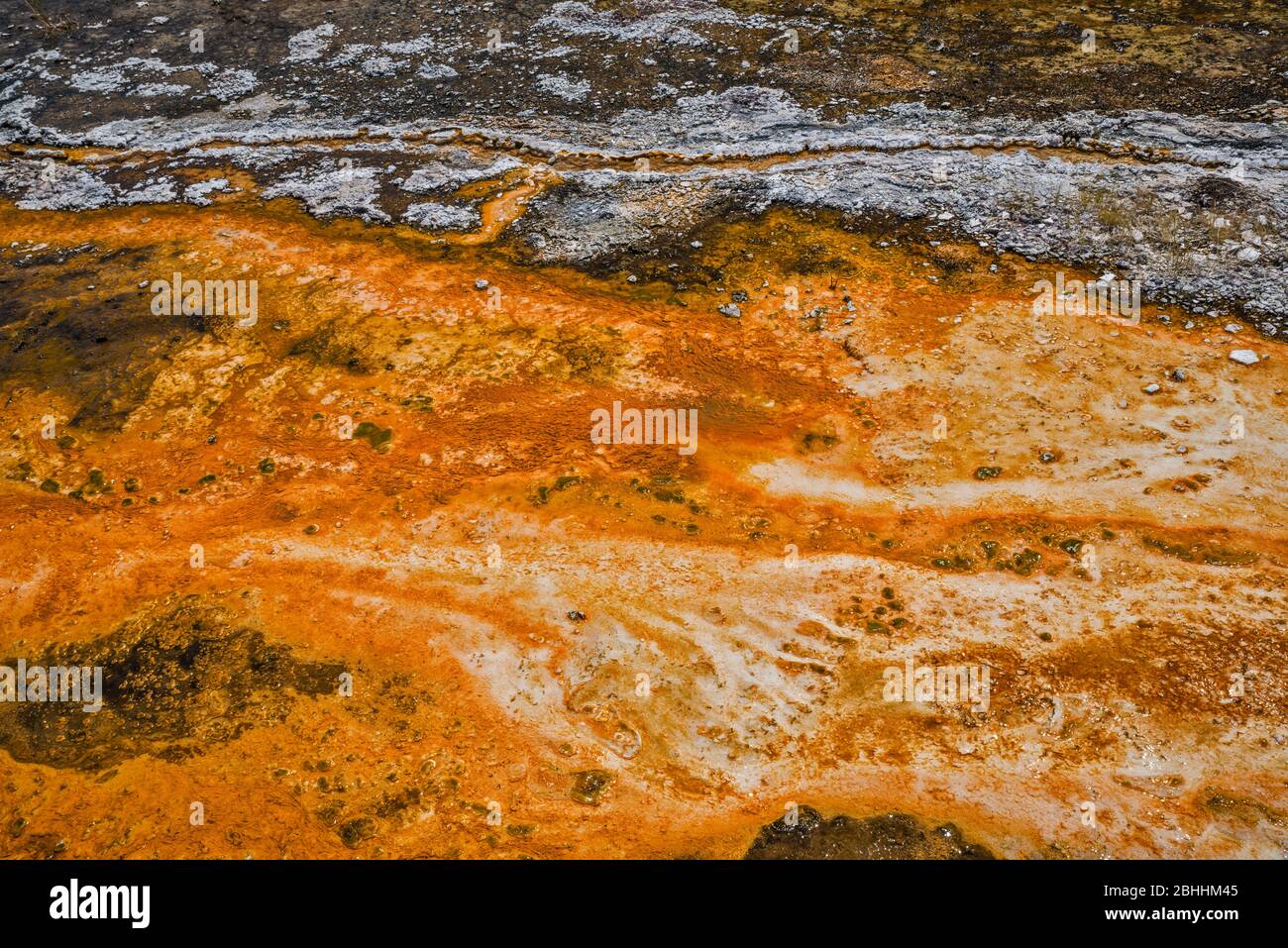 Mikrobielle Matten, auch bekannt als Luftmattenmatten in Te Kapua, Golden Fleece Terrace, Orakei Korako Thermal Park, Taupo Volcanic Zone, North Island, Neuseeland Stockfoto