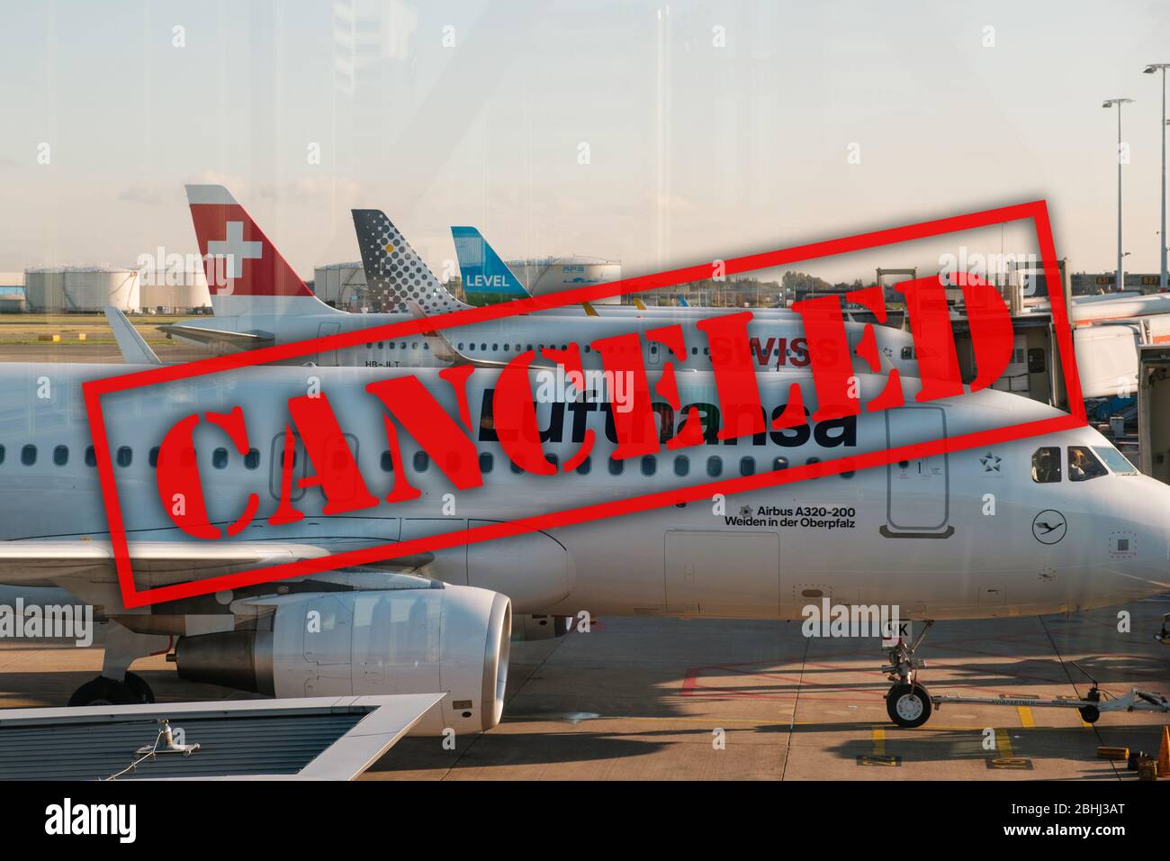 Amsterdam, Niederlande - Dezember 2019: Lufthansa-Flugzeug und andere Fluggesellschaften auf dem Flughafen in Amsterdam mit stornierten Text Stockfoto