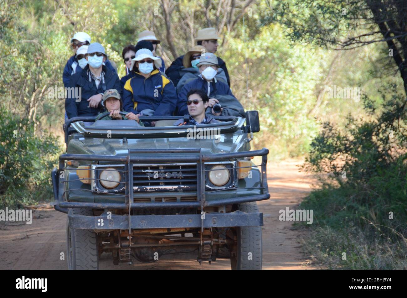 Chinesische Touristen auf Safari trägt Gesicht Masken - 2011i Stockfoto