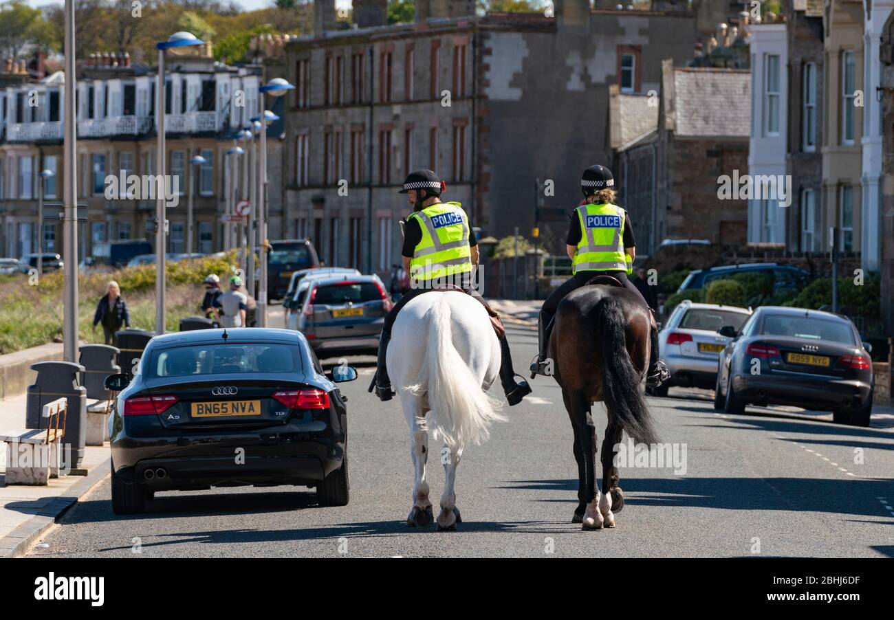 North Berwick, Schottland, Großbritannien. 26. April 2020. Berittene Polizisten patrouillieren heute Nachmittag an den Stränden von North Berwick in East Lothian. Die Pferde Inverness (dunkel) und Edinburgh reisten von ihren Ställen in Stewarton in Ayrshire für den heutigen Spaziergang. Die Strände waren jedoch sehr ruhig und die Pferde mussten sich mit den wenigen Leuten draußen fotografieren lassen. Iain Masterton/Alamy Live News Stockfoto