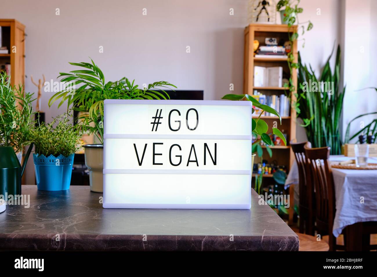 Leuchtkasten geschrieben 'Go Vegan' mit Kino Buchstaben. Konzept für Veganismus. Gesunder Lebensstil. Veganes Leben. Stockfoto