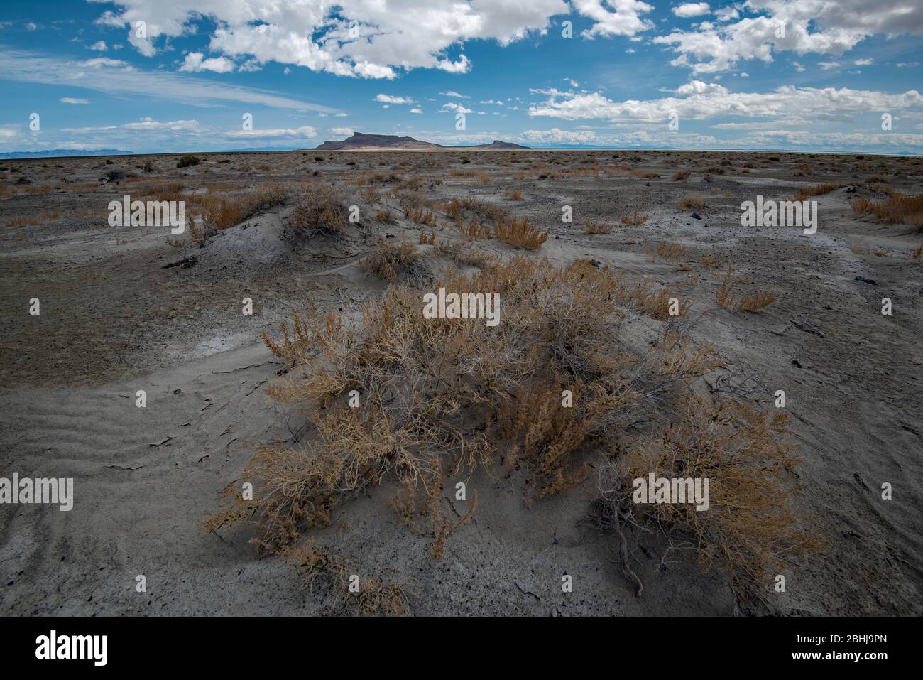 Antiker See Bonneville Seegrund Blick westlich von der Bonneville Salzgebiet in der Nähe Wendover, Utah, USA. Stockfoto