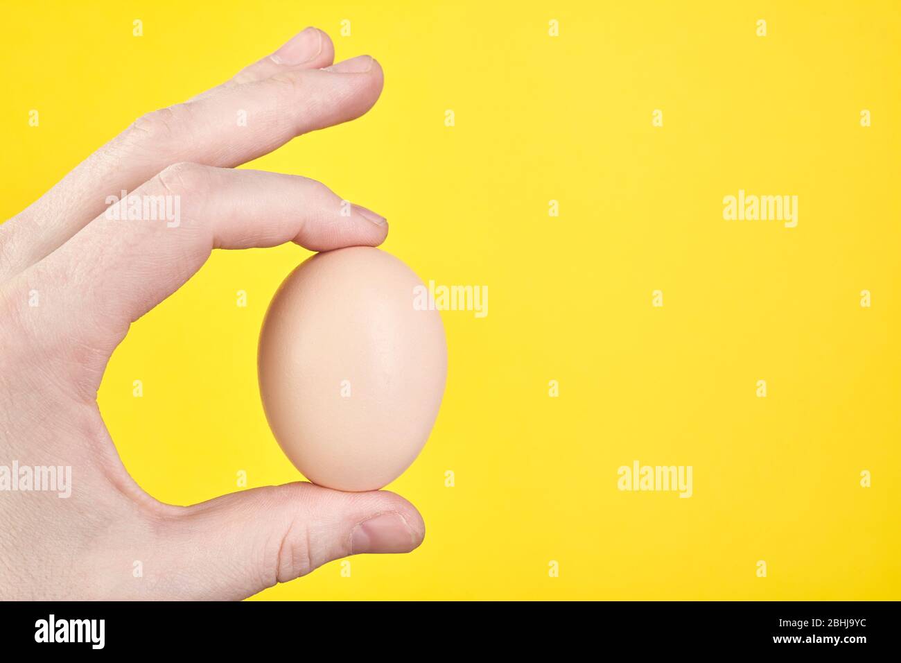 Halten eines Egg isoliert auf gelbem Hintergrund mit Kopierraum. Stockfoto