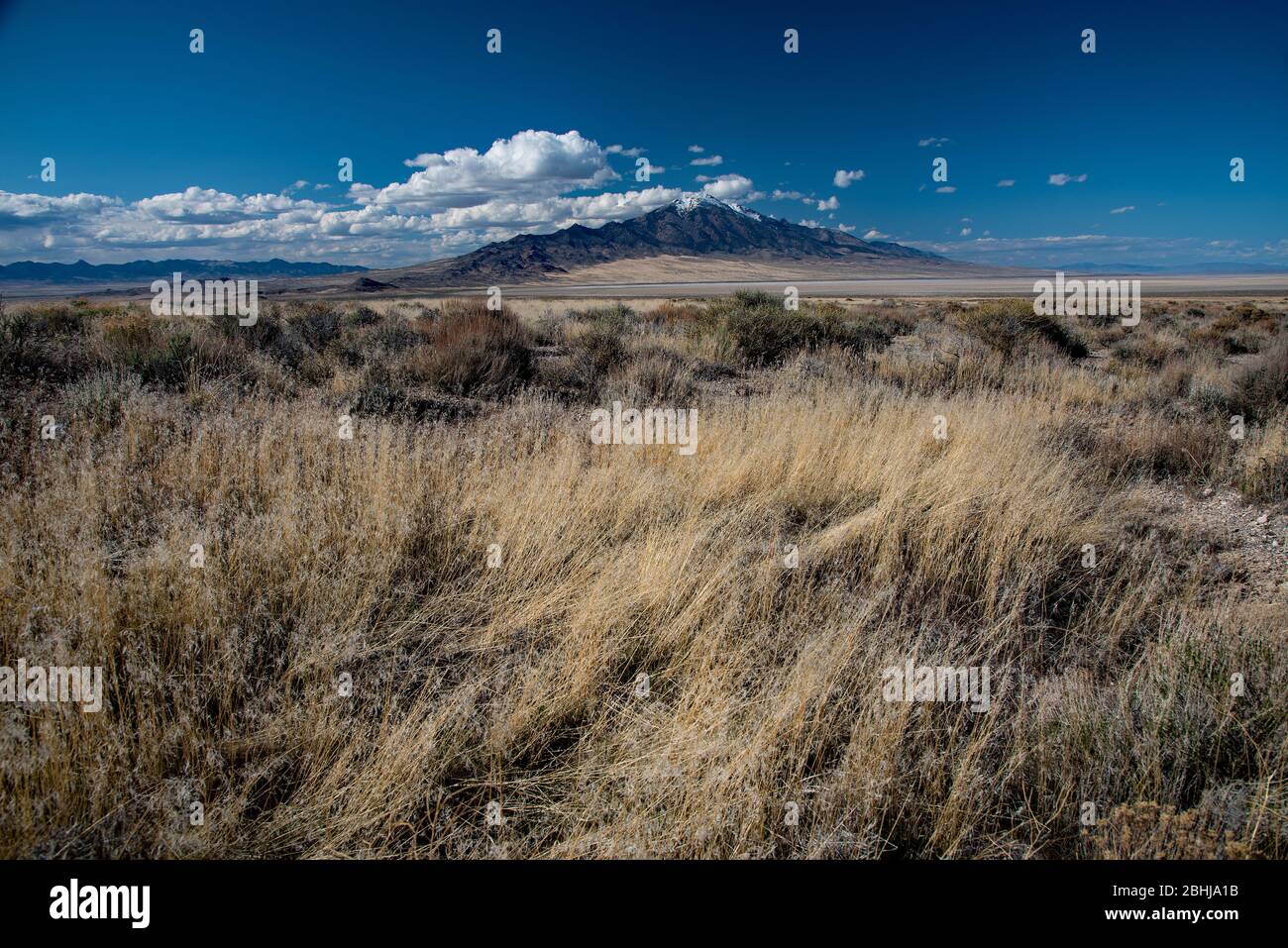 Pilot Peak im Osten Nevadas zwischen den Städten Wendover und Elko. Ein wichtiges Wahrzeichen für Wanderpioniere aus dem Osten, die nach Kalifornien reisen. Stockfoto