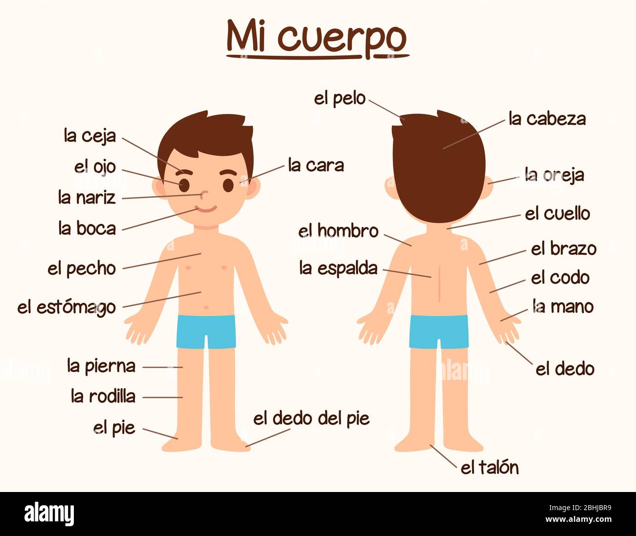 Mi Cuerpo (Mein Körper), Diagramm der menschlichen Körperteile in Spanisch für das Sprachenlernen. Nette Cartoon Junge mit Etiketten, Infografik Diagramm für Kinder. Stock Vektor