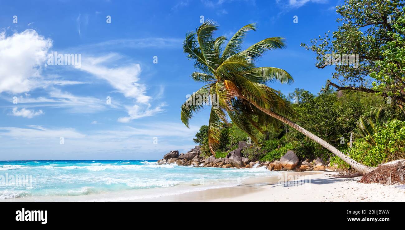 Seychellen Anse Georgette Strand Praslin Insel Palm Panoramablick Urlaub Meer Wasser Stockfoto