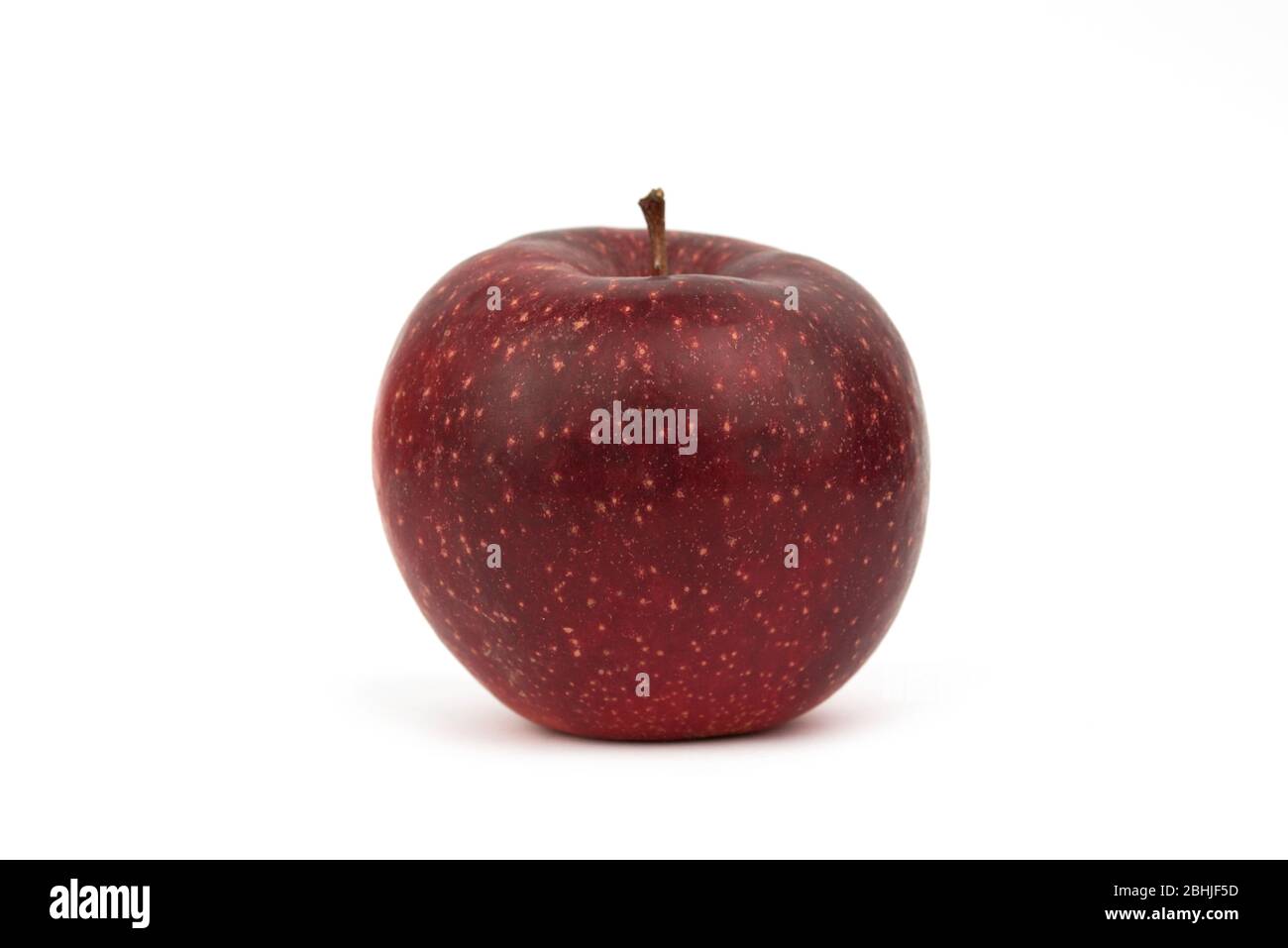 Ein süßer roter jonagold Apfel Stockfoto