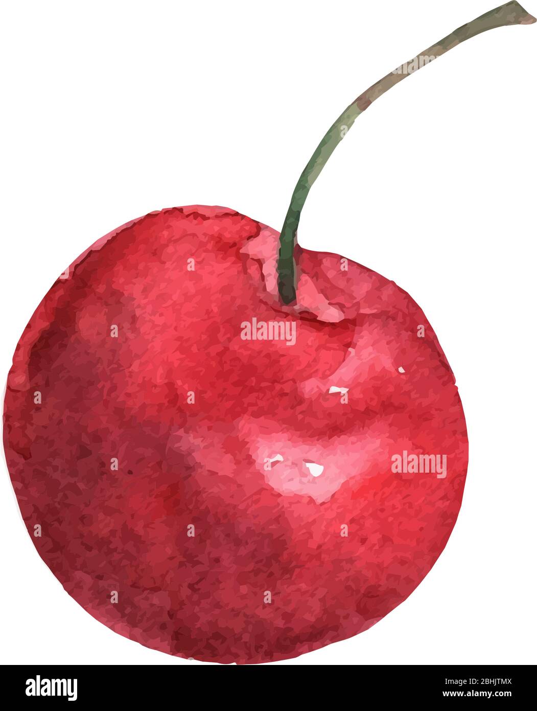Rote Kirschen in Aquarellen auf weißem Hintergrund isoliert. Helle süße Farbe. Süßes Obst. Vektor Stock Vektor