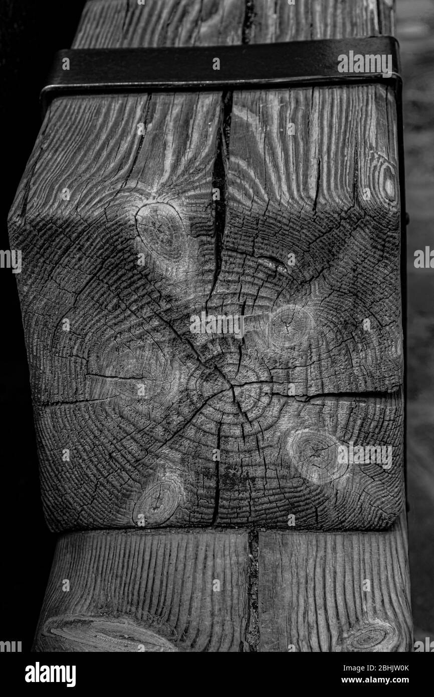 Monochrome Muster der rauen Holzstruktur des quadratischen Balken. Hartholz Hintergrund in Grautönen. Hintergrund der holzverarbeitenden Industrie Stockfoto