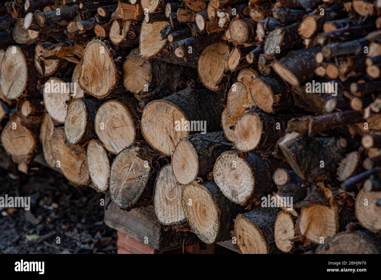 Seitenansicht von Holzstapel mit Holzstämmen und Ästen. Rustikales Kraftstoffkonzept. Grobe Holztexturen von Baumstammquerschnitten und Baumrinde Stockfoto