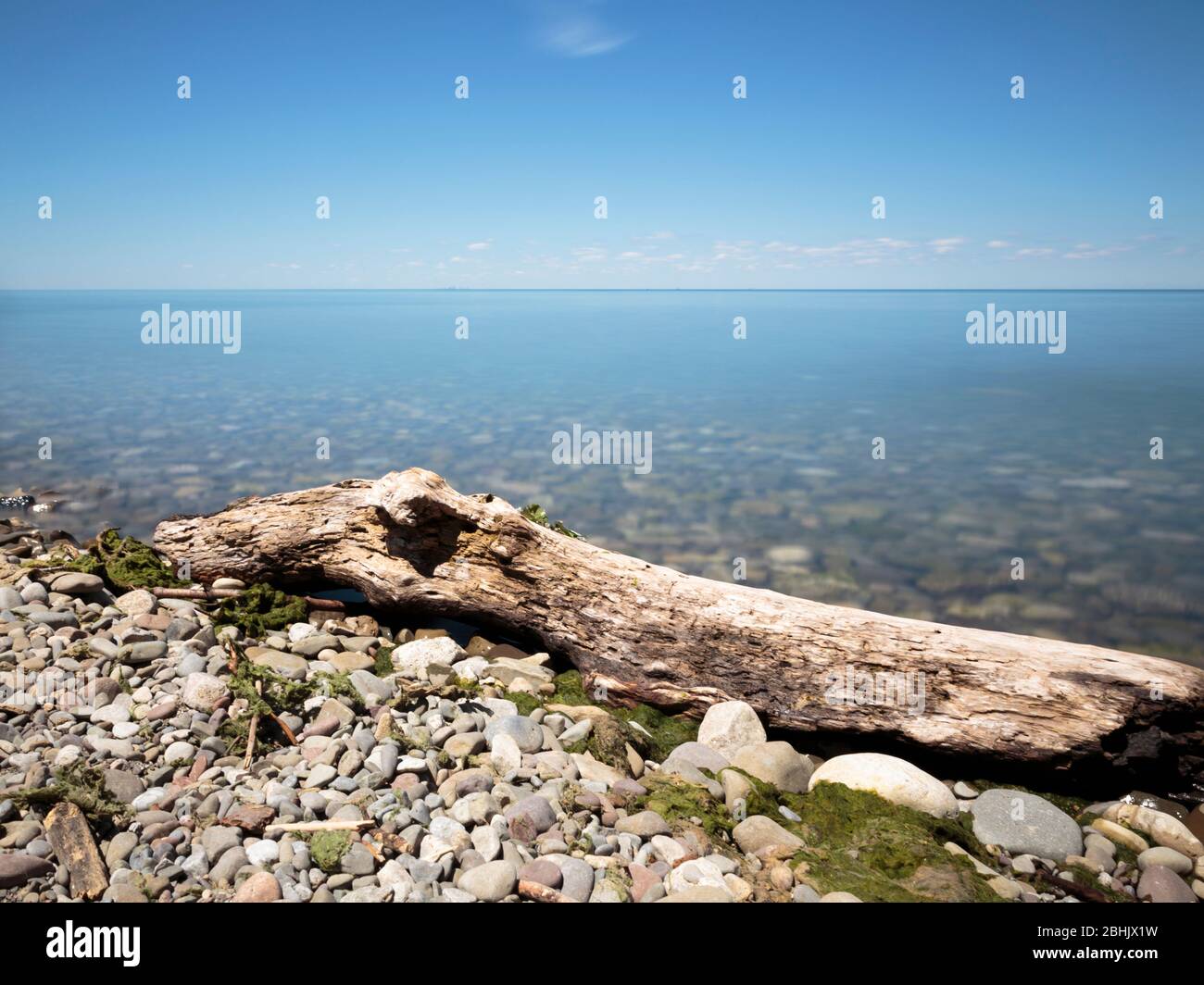 Treibholz ist an einem Kiesstrand im Queen's Royal Park aufgewaschen. Der Park liegt an der Mündung des Niagara River am Lake Ontario. Niagara-on-the-Lake, ON Stockfoto