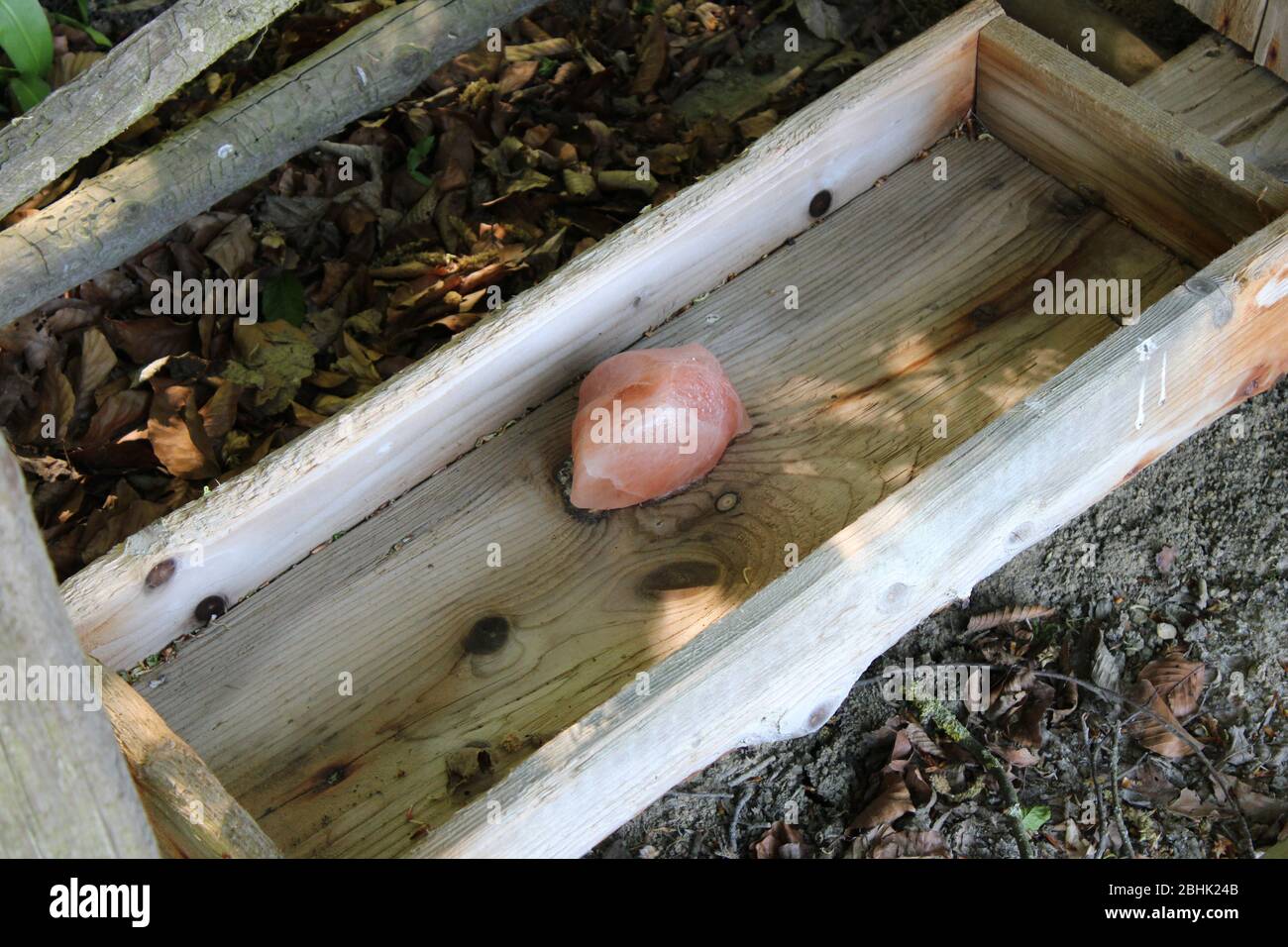 Leck Stein für Hirsche in österreichischem Holz Stockfoto