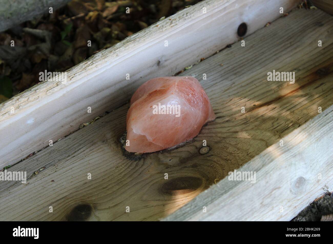 Leck Stein für Hirsche in österreichischem Holz Stockfoto