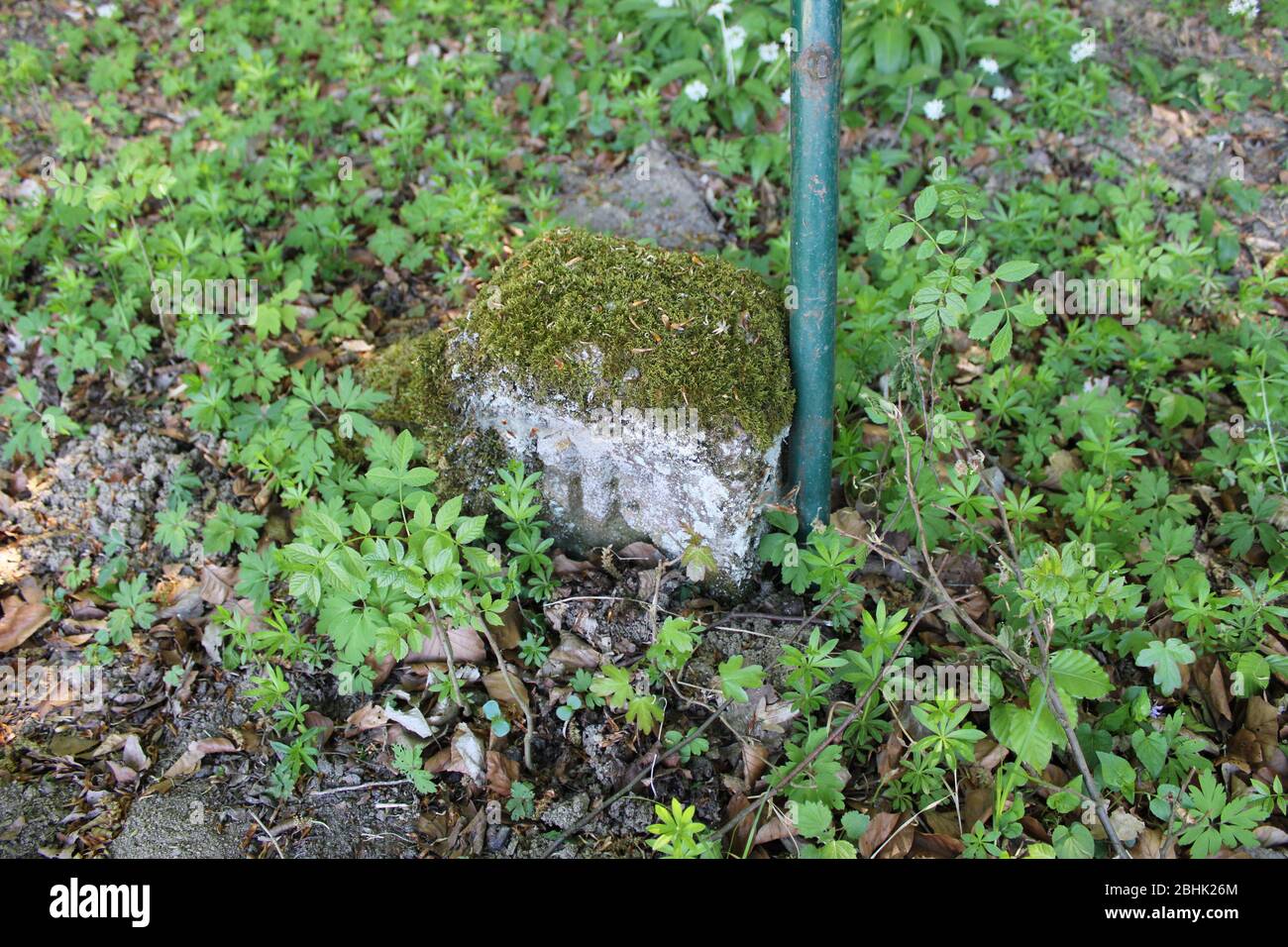 Grenzstein in einem ausrischen Wald Stockfoto