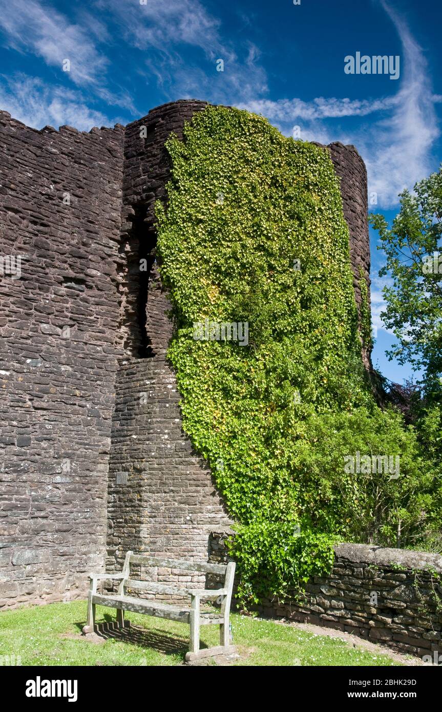 Eine Bank neben der Efeu bedeckten Wand der Burg Skenfrith in der Grafschaft Monmouthshire in Südwales Großbritannien die Burg stammt aus dem 13. Jahrhundert. Stockfoto